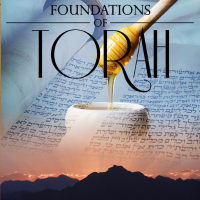 Foundations of Torah: the book of Numbers, adults, summer, Instructor Bell, Fridays, 7am CST