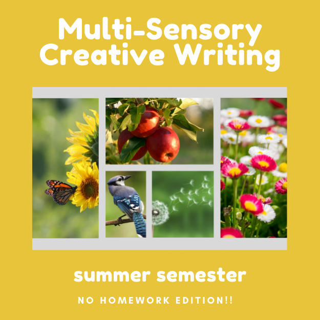 Multi-Sensory Creative Writing + IEW Concepts, summer 2026