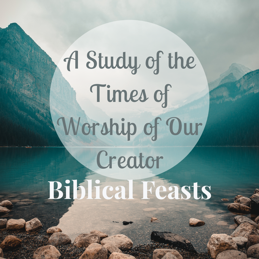 The Biblical Feasts by Anne Elliott, summer 2026